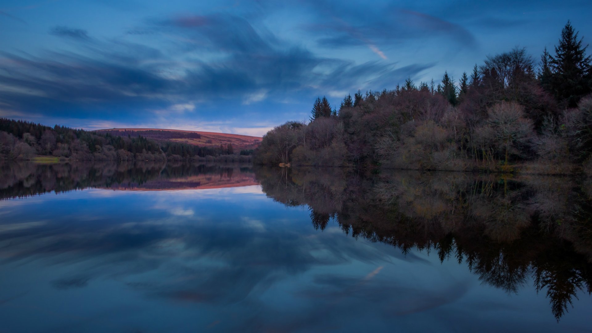 united kingdom england reservoir national park forest tree night blue sky clouds reflection nature