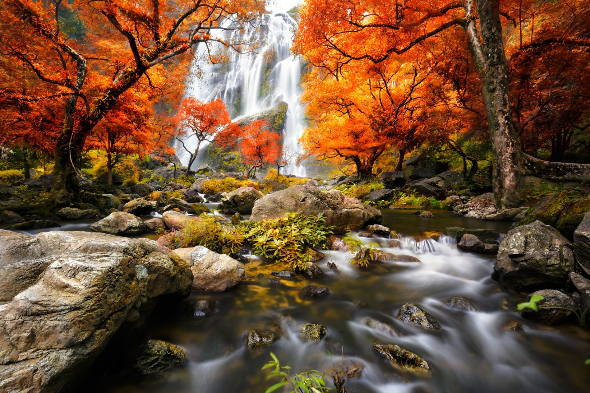 nature landscape forest waterfall water trees autumn river autumn view