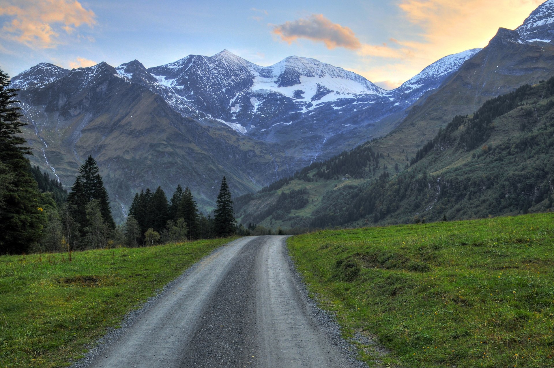 montagne neve foresta alberi erba strada