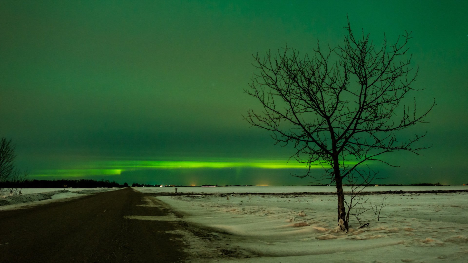 route arbre hiver nuit paysage