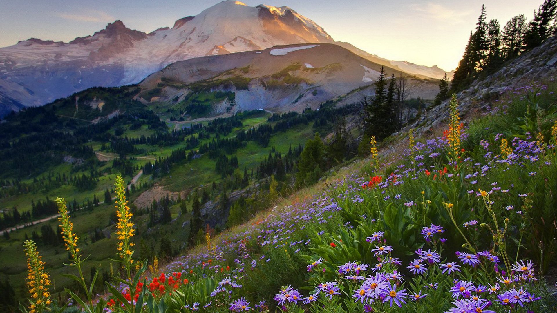 ciel montagnes coucher de soleil été fleurs herbe