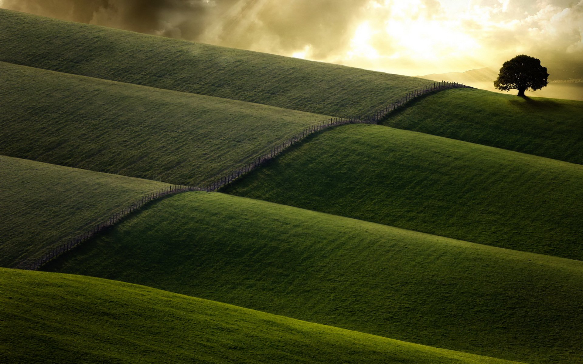 campo recinzione albero paesaggio