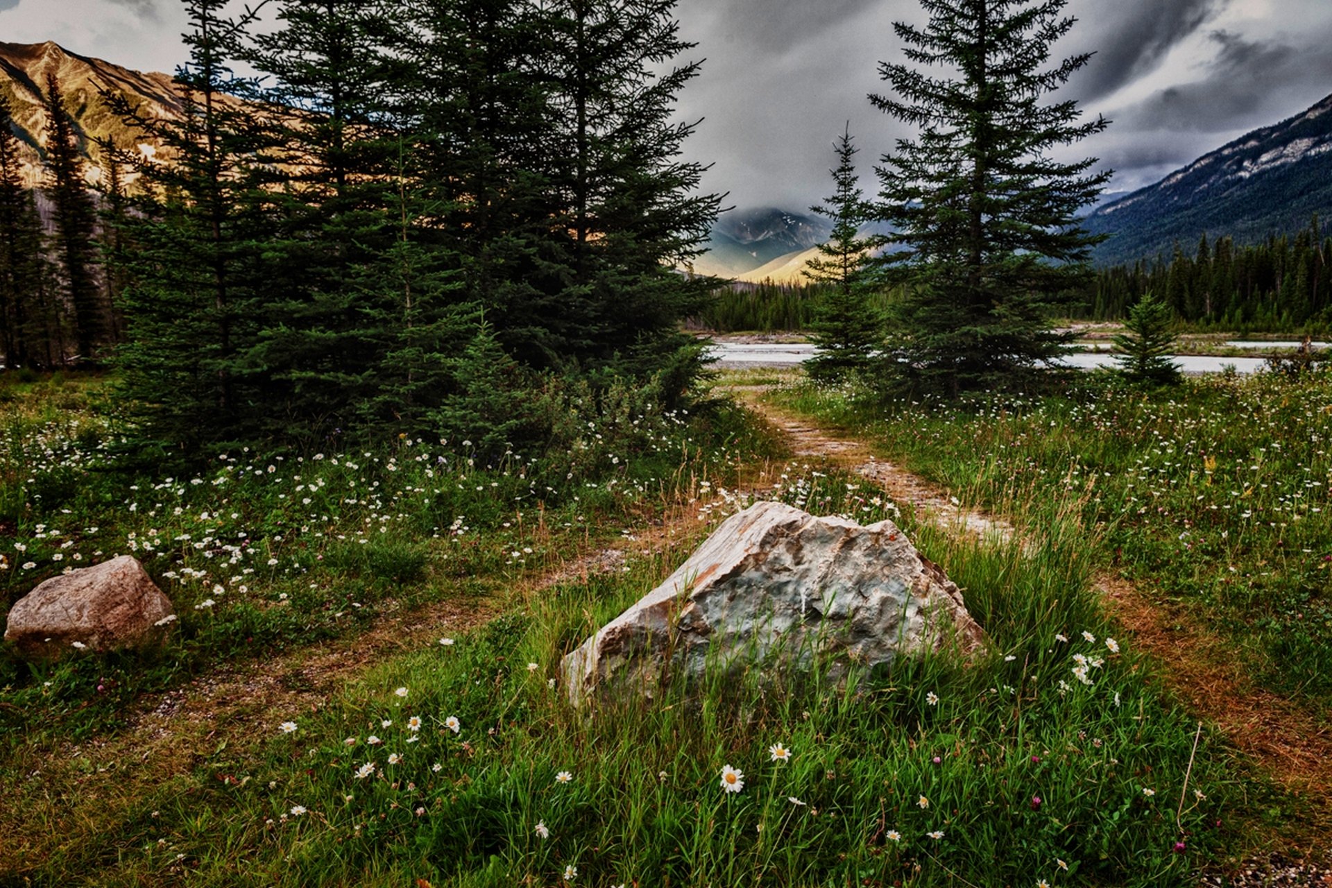 nature montagnes fleurs paysage herbe arbres ciel nuages vue forêt