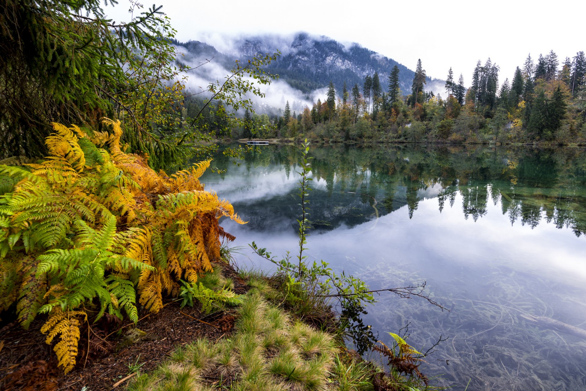 schweiz berge see herbst