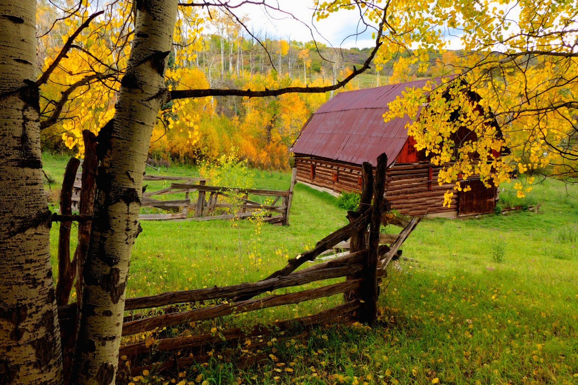 naturaleza casa bosque árboles hojas colorido otoño caída colores paseo camino