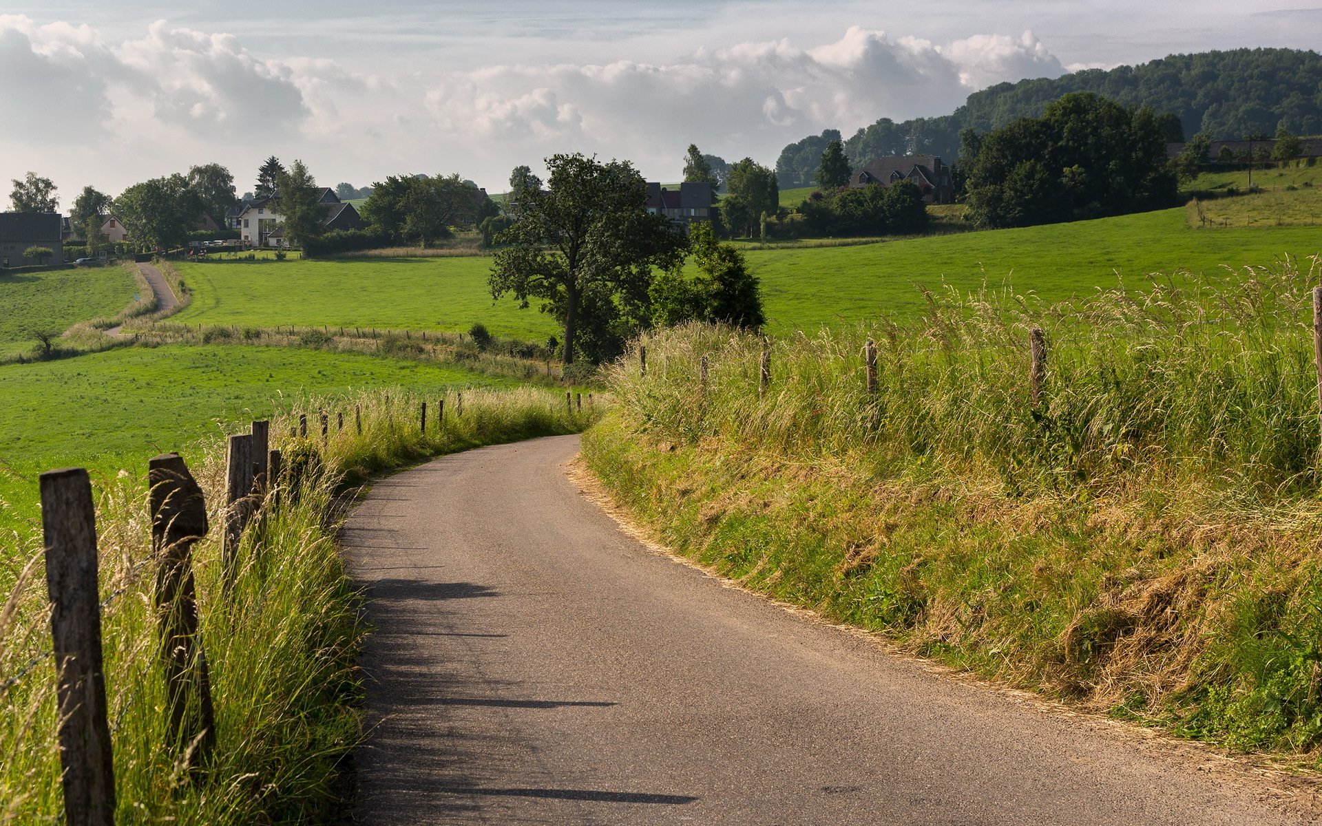 champ route paysage