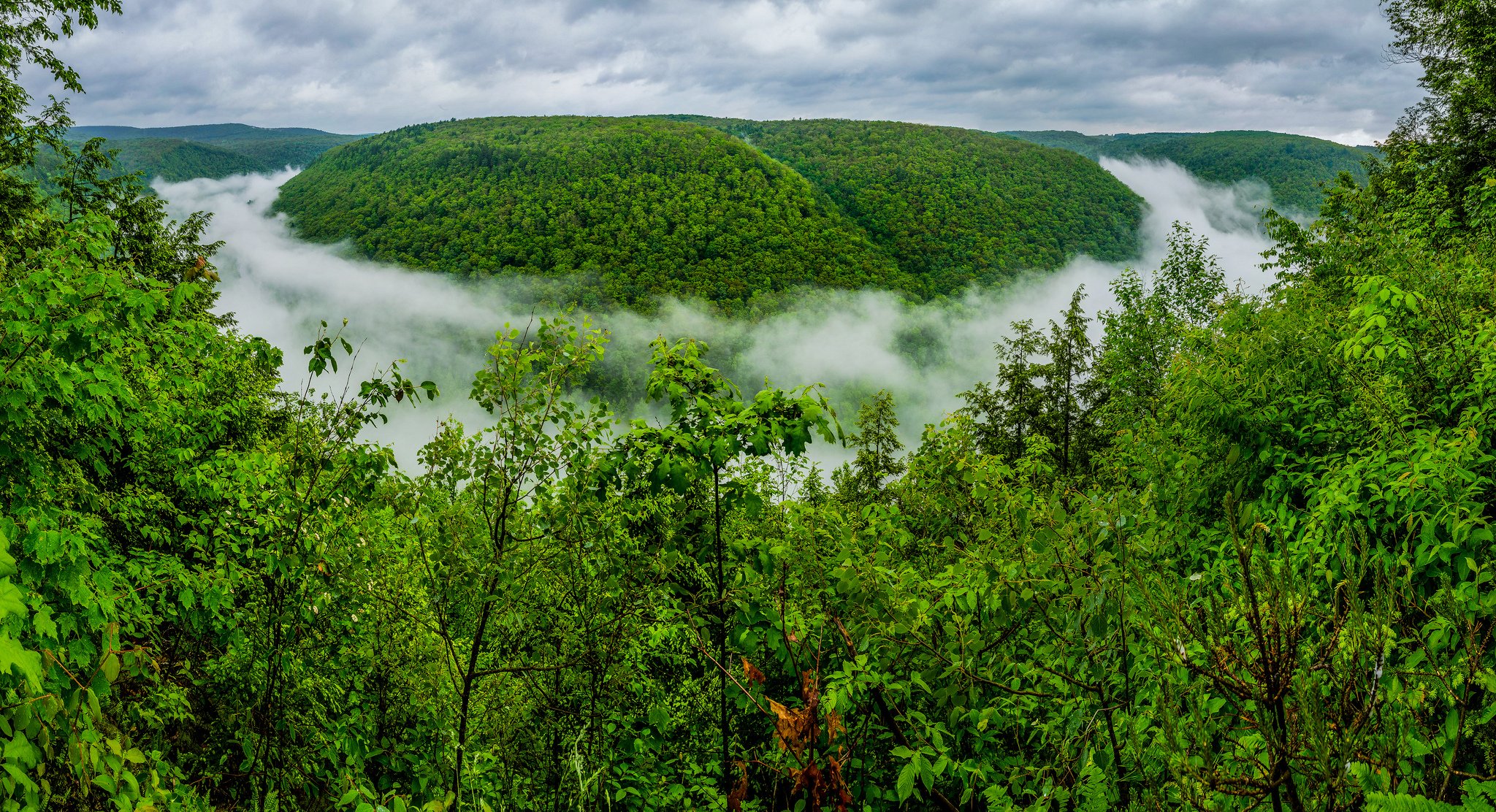 grand canyon of pennsylvania pine creek gorge pennsylvania grand canyon of pennsylvania grand canyon gorge forest fog