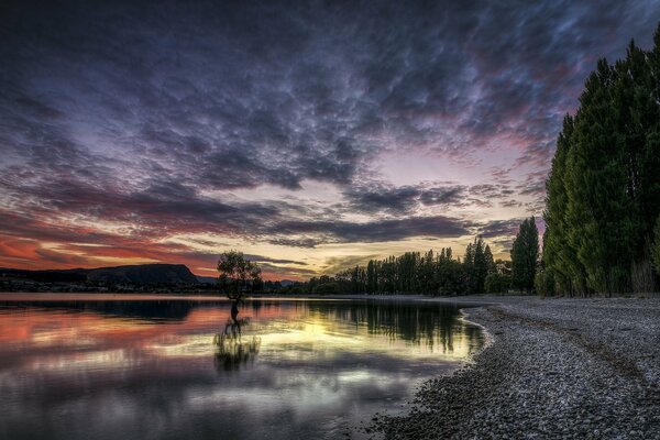 Sonnenuntergang über dem See im Wald