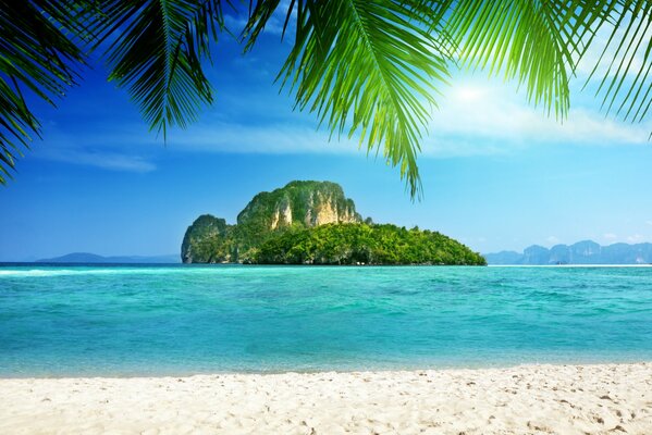 Palmeras tropicales y acantilados de la costa