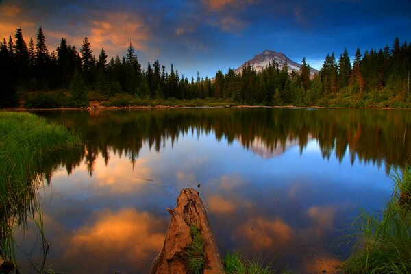Ein See inmitten eines Waldes in den USA