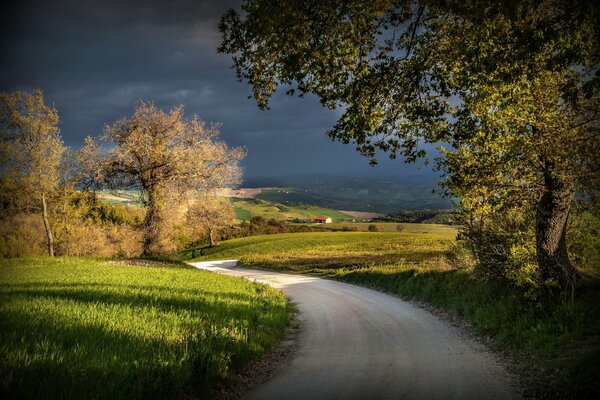 Strada tra prati e campi in Italia