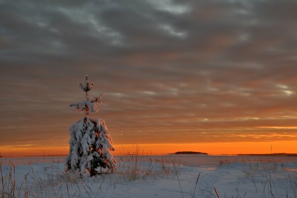 Foto tramonto serale in inverno