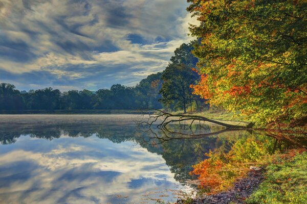 Natura meravigliosa nei colori di autunno