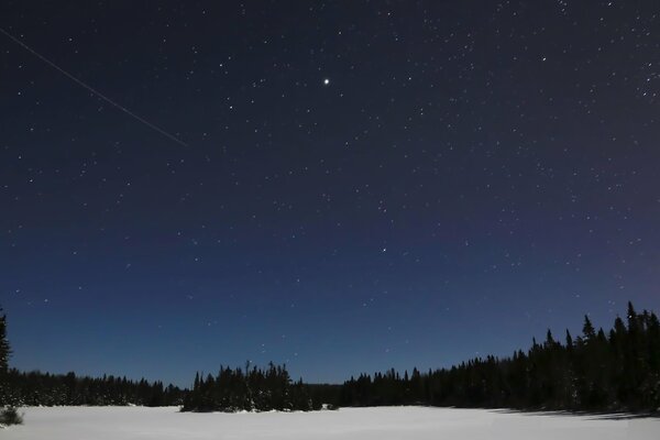 Chiara notte d inverno, foresta
