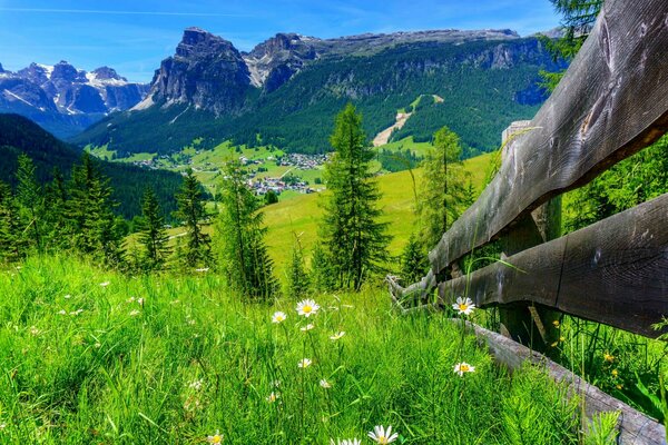 Nature printanière près des montagnes