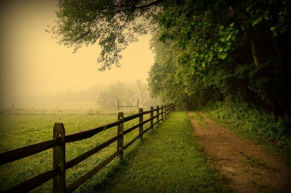 Nature in the USA. The road along the fence and trees