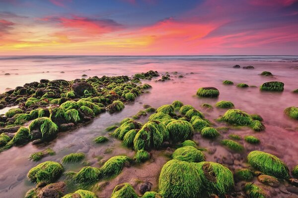 The seashore after high tide