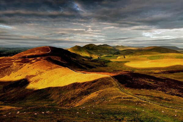 Sheep graze among the hills in England