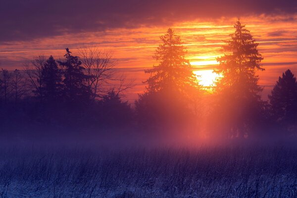 Coucher de soleil dans la forêt en hiver