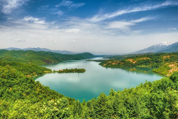 Panorama jeziora debarskiego w lesie