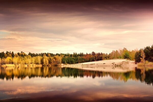 Reflet miroir des arbres dans l eau. Allemagne