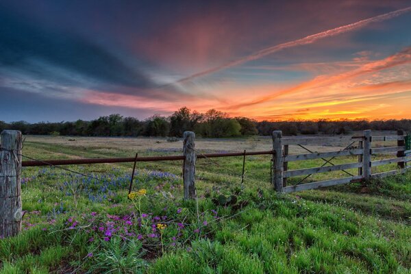 Hermosa puesta de sol en el campo con cerca