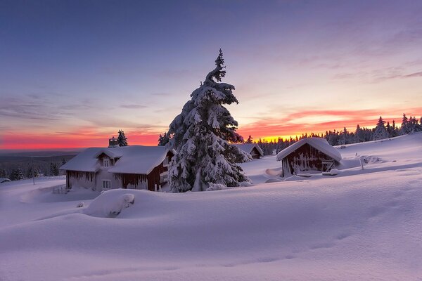 Landschaft Natur Schnee schöner Sonnenuntergang
