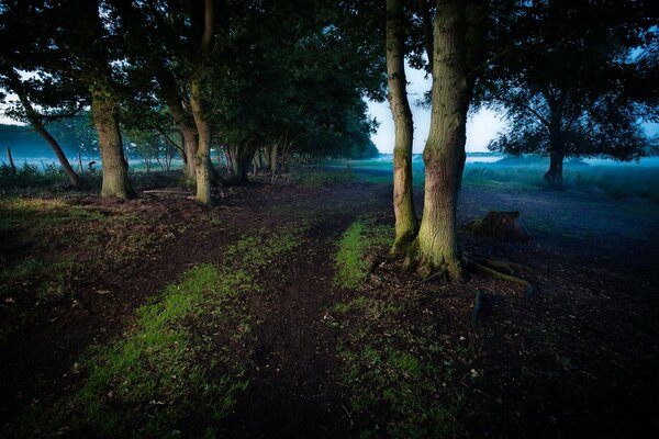 The Road to the Castle of Shadows