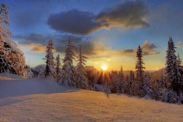 Parque nacional en invierno al atardecer