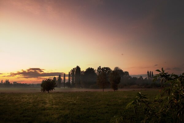 Agréable coucher de soleil le soir d été