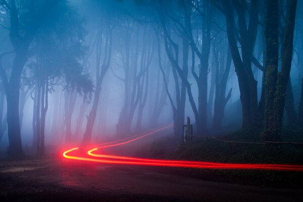 Luces rojas de la carretera nocturna