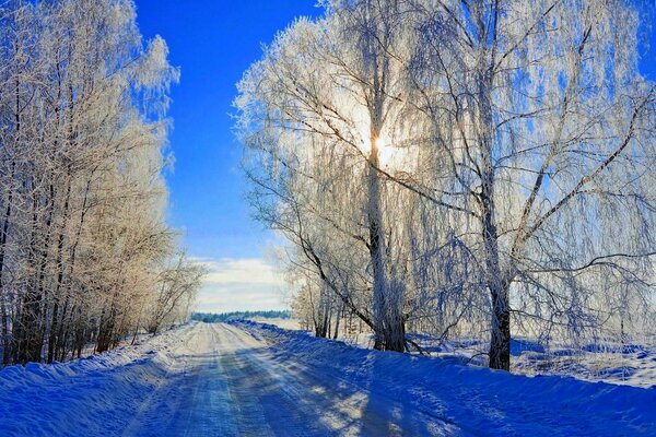 Azzurro invernale scintillante