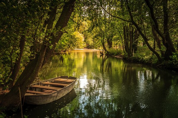 See mit Boot im Sommerwald