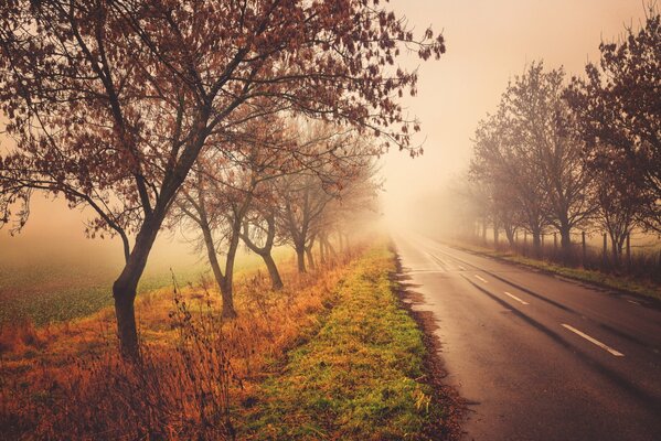 Une route fabuleuse dans une vie fabuleuse