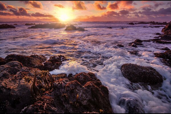 Mousse des vagues sur fond de coucher de soleil