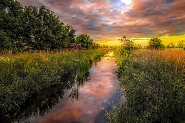 Hermoso paisaje río en el bosque