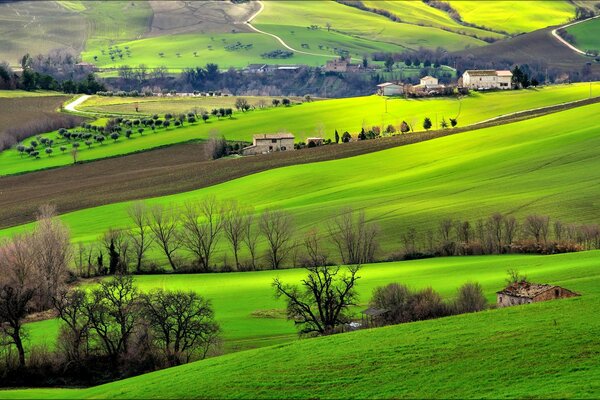 Hills in Italy. Grass and fields