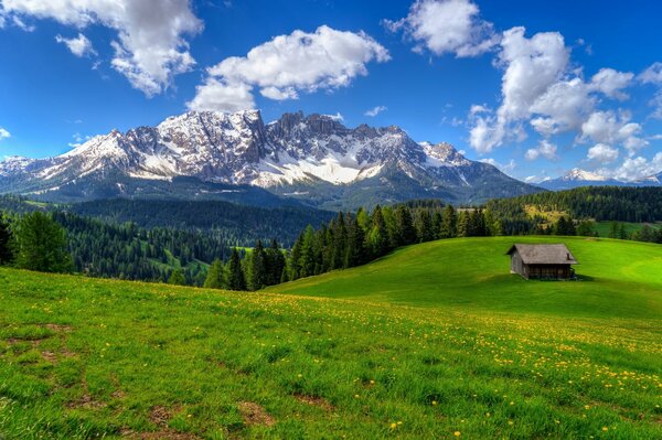 Casa en el bosque de primavera