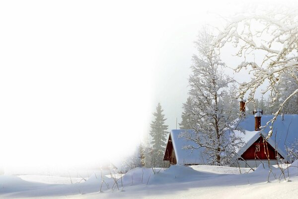 Maison de neige dans la forêt de Nice