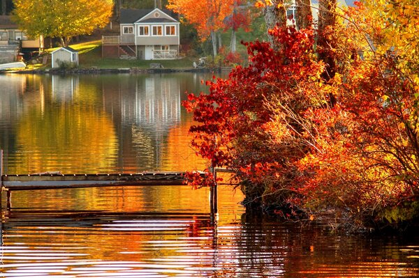 Une émeute de couleurs dans un paysage d automne
