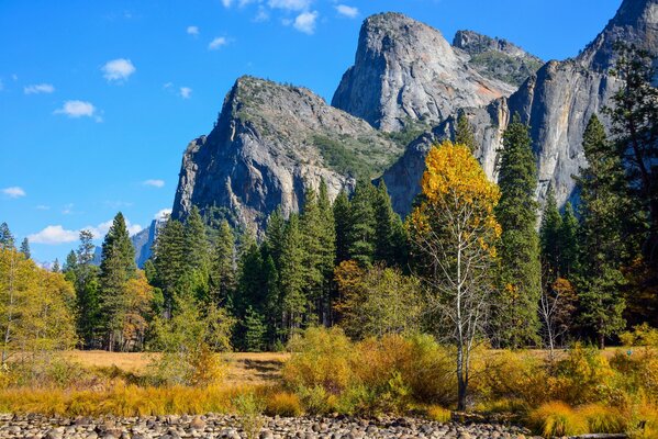 Autumn forest on the background of gray rocks and blue sky