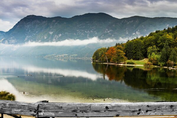 Bergsee mit Blick auf den Wald