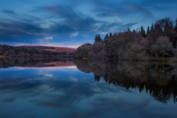 El cielo azul oscuro se refleja en un lago rodeado de bosques