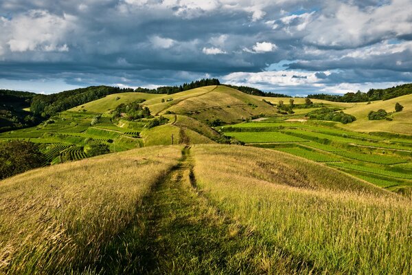 Niedrige Wolken über den mit Gras bedeckten Hügeln und Wiesen