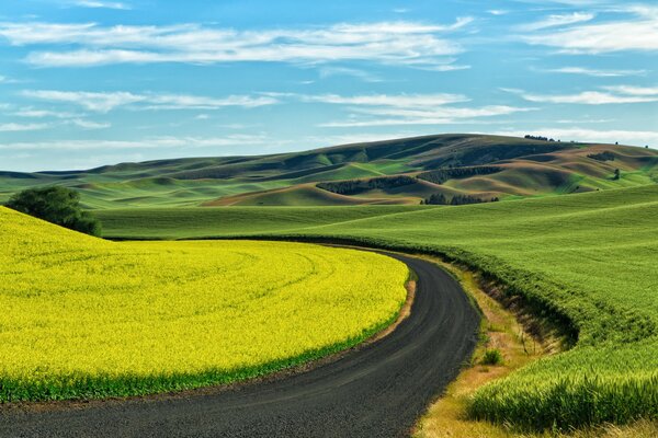 Un camino sinuoso a través de prados verdes