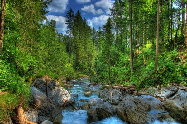 Landschaft in Deutschland in der Natur