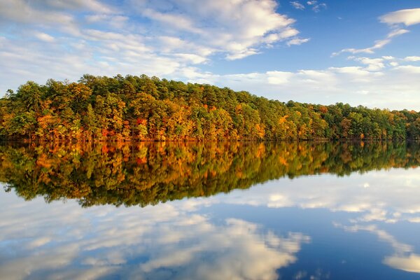 Jesienne refleksje w jeziorze